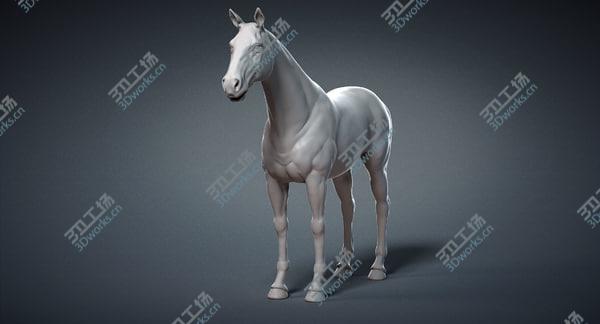 images/goods_img/20210312/Horse Base Mesh 3D model/2.jpg